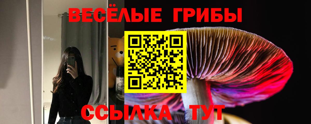 Краснокаменск  Псилоцибиновые грибы мицелий  Галлюциногенные грибы мицелий  Вход с VPN 
